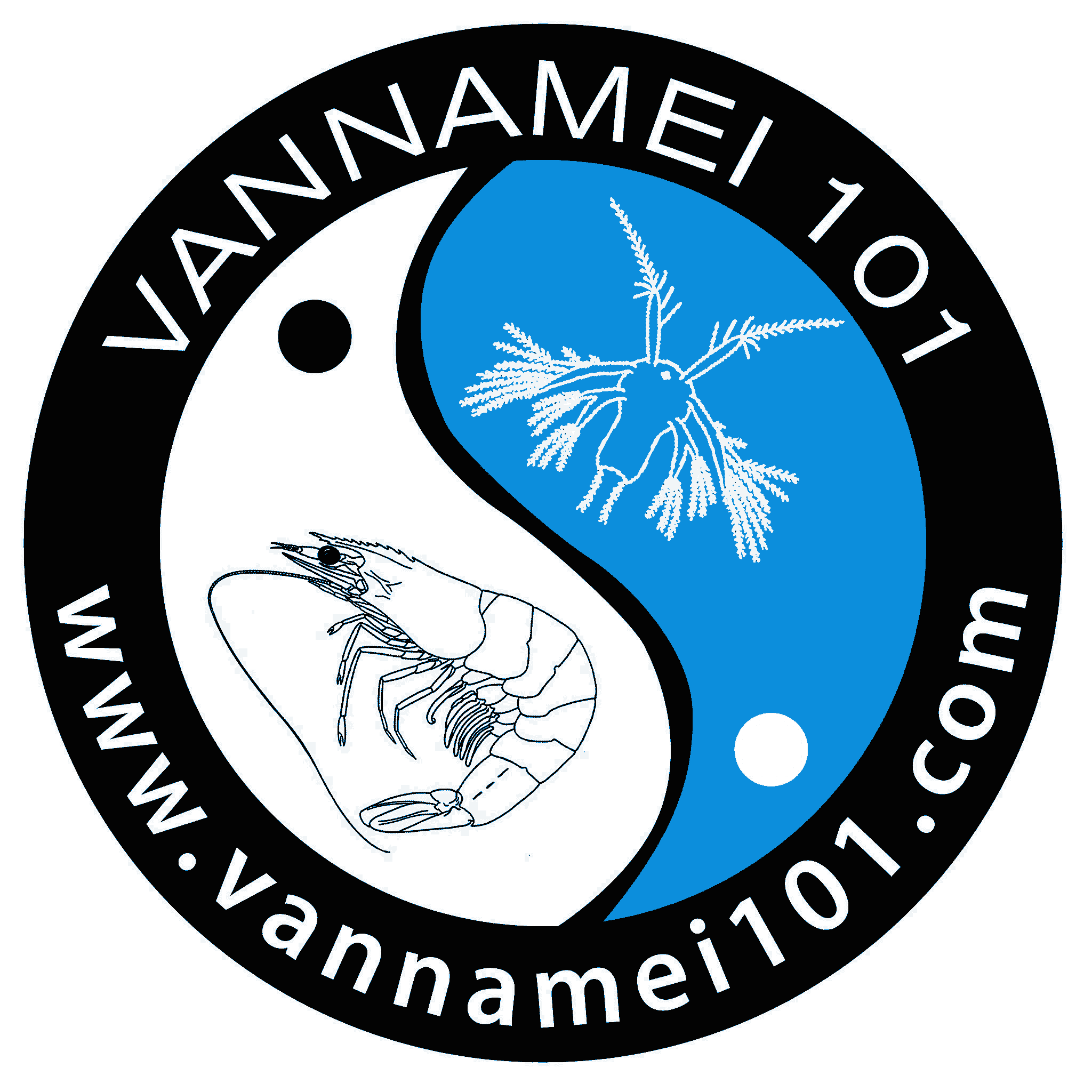 Vannamei101