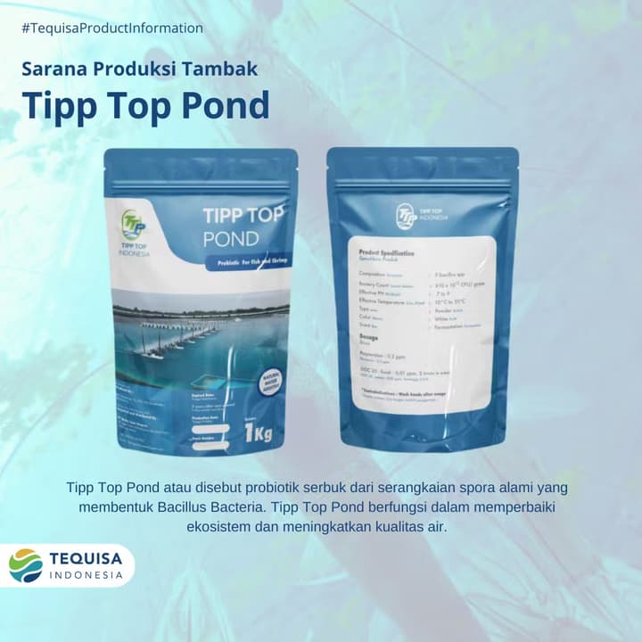 Tipp Top Pond